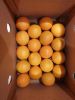 South Africa crop recent year Fresh fruits and vegetables Valencia orange sizes 72/ 80/ 88 , Caraway, Green Cardamom Dubai market