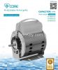 Air cooler motor