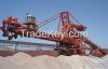 Boom Bucket Wheel stacker-reclaimer_NHI China