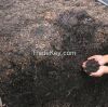 100% Compost and Vermicompost Fertilizer Worm