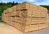 Conifer lumber softwood (pine)