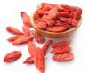 Factory Supply Pure Natural 2014 Chinese Most Salable Goji Berry/Goji/