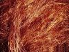 Copper Wire Scraps Suppliers | Copper Scrap Exporters | Copper Scrap Manufacturers | Cheap Copper Scrap | Wholesale Copper Scraps | Discounted Copper Scrap | Bulk Copper Scraps | Copper Scrap Buyer | Import Copper Scrap | Copper Scrap Importers | Copper S