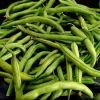 Sell All Kinds Of Kidney Beans