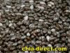 chia seeds natural black