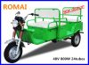 48V 850W electric rickshaw with rear axle motor