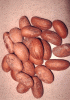 Bitter Kola nuts