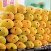 Badami Mangoes