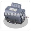 Steel shell AC induction motor