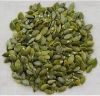 Pumpkin Seeds Kernels