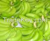 Best price Fresh cavendish bananas for sale