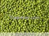 New Crop Green mung bean best price