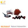 Natural Astaxanthin Oil