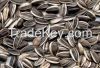 Sunflower seeds for human and animal feed for export.