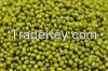 Green mung beans, crop 2015