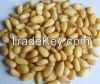 Health Food Hulled Pine Nuts Wholesale Prices