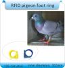 Chicken, duck, pigeon foot ring Transponder RFID card 125KHZ frequency