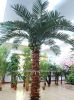 2014 hot sale 10m artificial coconut tree