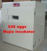 egg incubator