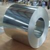 hot dip galvanized steel sheet coil price