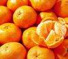 sales kinds of oranges, Citrus, fruits, shatian pomelo, navel orange