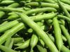 Fresh Green Beans / Frozen Green Beans