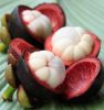 Fresh Mangosteen