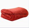 Coral Fleece Fabric