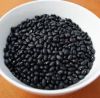 Black Kidney Beans