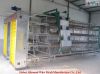 Automatic cages of quail