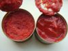 canned tomato paste