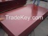 sell okoume /bintangor/sapele /pine plywood for furniture
