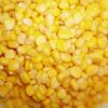 Sell sweet corn kernel