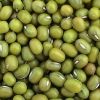 MUNG BEANS