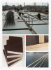 exported brown/black film faced plywood