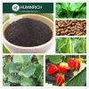 Huminrich Shenyang Potassium Humate Plant Growth Promoters