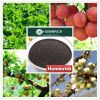 Shenyang Huminrich Potassium Humate Powder for Stimulating Plant Growth