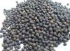 Black pepper for sale