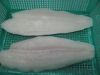 WTS - Frozen Pangasius (Tra/Basa) Fillet