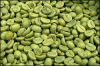 fatburner powders Green Coffee Bean Extract  casCAS NO.:129938-20-1