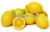 Fresh Premium quality Eureka Lemons.