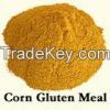 Corn Gluten Meal