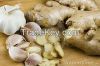 Fresh ginger and garli