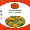 Marigold Flower Extract