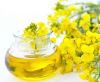 Sell Refined Rapeseed Oil