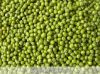 Fresh, frozen And Dried Green Mung Beans