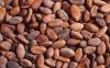 Quality Cocoa Beans