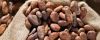 Sell Cocoa Beans