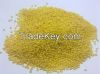 High quality Yellow  and White millet