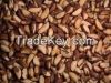 Brazil Nuts - 100% Natural Grade A